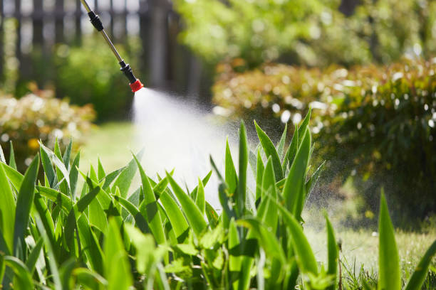 24/7 Emergency Fumigation Services experts in Maryville, MO